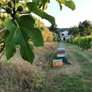Naturaliterre - Microfattoria Dovadola